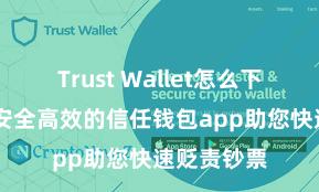 Trust Wallet怎么下载最安全 安全高效的信任钱包app助您快速贬责钞票