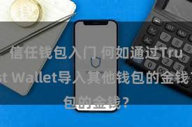 信任钱包入门 何如通过Trust Wallet导入其他钱包的金钱？