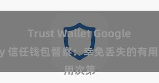 Trust Wallet Google Play 信任钱包督察：幸免丢失的有用次第